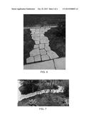 Modular Decorative Landscape Product and Associated Methods diagram and image