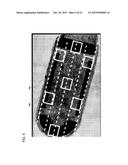 SYSTEMS AND METHODS FOR IN VITRO AND IN VIVO IMAGING OF CELLS ON A     SUBSTRATE diagram and image