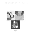 System and Method for Detecting Pathogens diagram and image