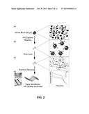 System and Method for Detecting Pathogens diagram and image