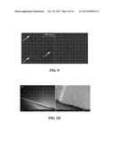 System and Method for Detecting Pathogens diagram and image