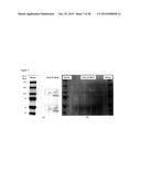 METHODS AND COMPOSITIONS FOR SCREENING AND DETECTING BIOMARKERS diagram and image