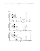 METHODS AND COMPOSITIONS FOR SCREENING AND DETECTING BIOMARKERS diagram and image