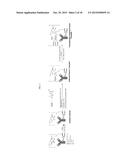 Polymeric Carriers for Immunohistochemistry and In Situ Hybridization diagram and image