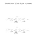 Polymeric Carriers for Immunohistochemistry and In Situ Hybridization diagram and image