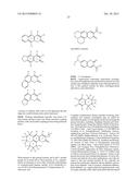 Polymeric Carriers for Immunohistochemistry and In Situ Hybridization diagram and image