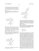 Polymeric Carriers for Immunohistochemistry and In Situ Hybridization diagram and image