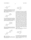 Polymeric Carriers for Immunohistochemistry and In Situ Hybridization diagram and image