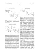 Polymeric Carriers for Immunohistochemistry and In Situ Hybridization diagram and image