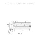 Downhole Gas-Filled Radiation Detector with Optical Fiber diagram and image