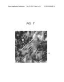 METAL SUBSTRATE, FIXING MEMBER, AND HEAT-FIXING DEVICE diagram and image