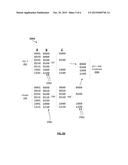 EFFICIENCY SETS IN A DISTRIBUTED SYSTEM diagram and image