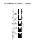 METHOD AND SYSTEM FOR AUTOMATICALLY LOCATING STATIC OCCLUSIONS diagram and image