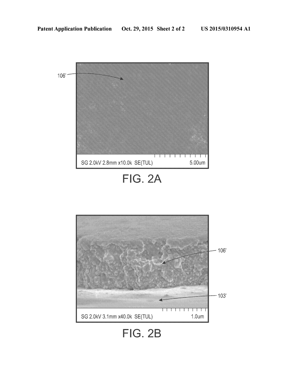 STRETCHABLE CONDUCTIVE FILM BASED ON SILVER NANOPARTICLES - diagram, schematic, and image 03