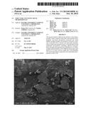 STRUCTURE CONTAINING METAL MICROPARTICLES diagram and image