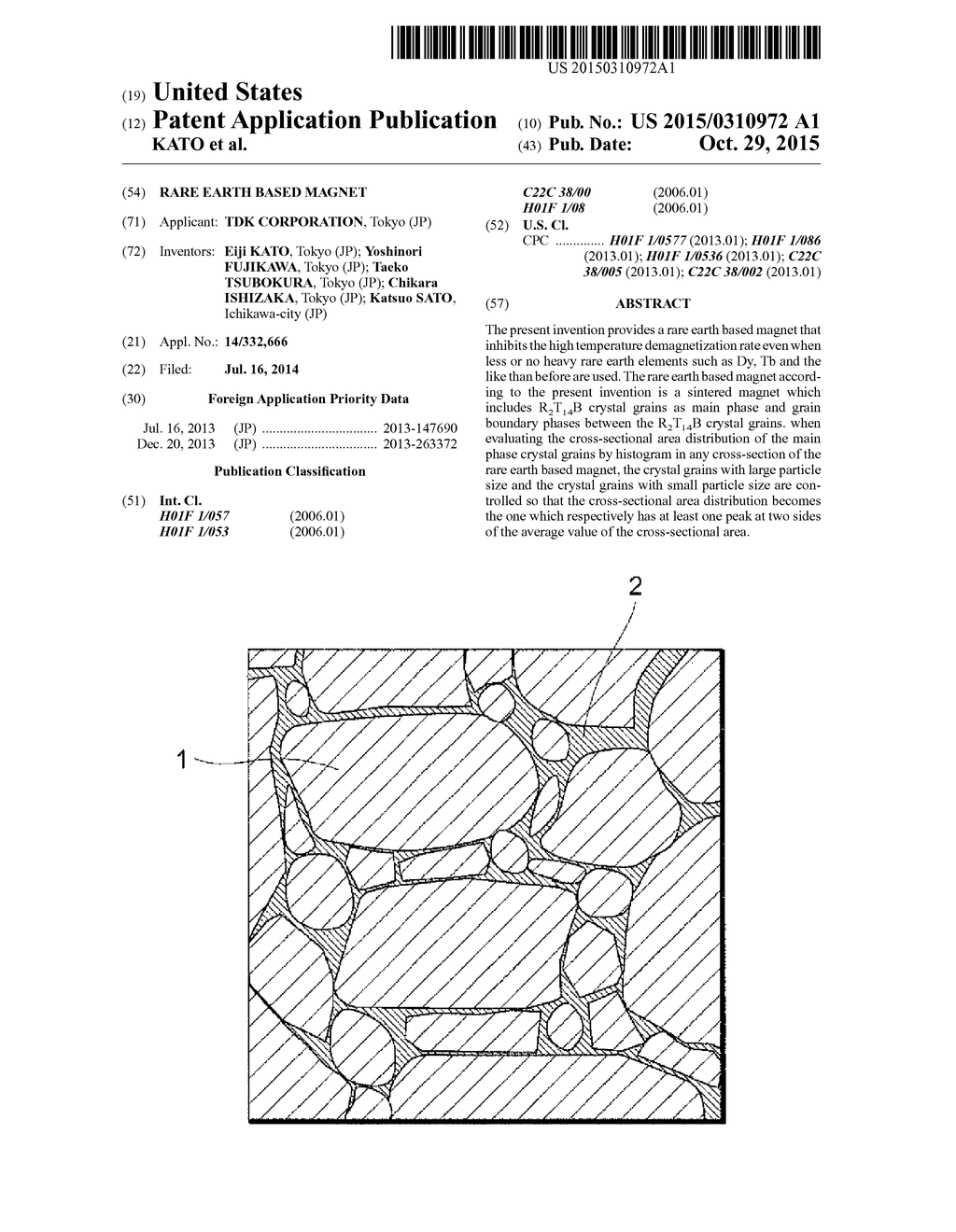 RARE EARTH BASED MAGNET - diagram, schematic, and image 01