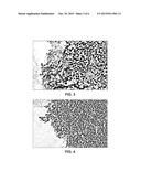 HIGH CAPACITY ELECTRODES diagram and image