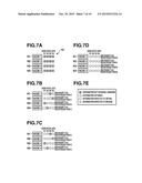 DISTRIBUTED DATABASE, METHOD OF SHARING DATA, PROGRAM STORING MEDIUM, AND     APPARATUS FOR A DISTRIBUTED DATABASE diagram and image