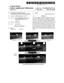 METHOD AND APPARATUS FOR EXTENDABLE FIELD OF VIEW RENDERING diagram and image