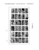 Systems and Methods for Generating a Full-Motion Video Mosaic Interface     for Content Discovery with User-Configurable Filters diagram and image