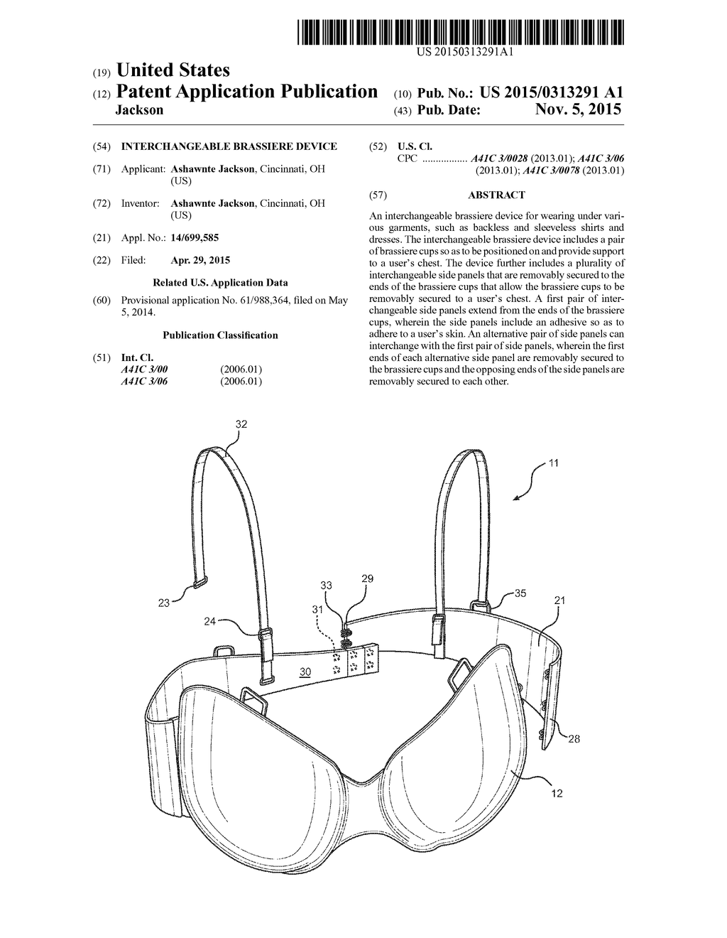 Interchangeable Brassiere Device - diagram, schematic, and image 01