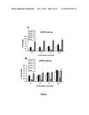 HISTIDINYLATED CATIONIC AMPHIPHILES, PROCESS FOR PREPARATION THEROF AND     THEIR LIPOSOMAL FORMULATION diagram and image