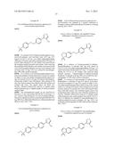 SUBSTITUTED ISOXAZOLE AMINE COMPOUNDS AS INHIBITORS OF SCD1 diagram and image