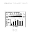 COMPOUNDS AND METHODS OF TREATING NEUROLOGICAL DISORDERS diagram and image