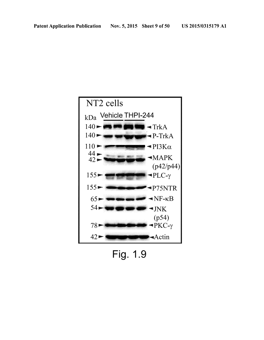 COMPOUNDS AND METHODS OF TREATING NEUROLOGICAL DISORDERS - diagram, schematic, and image 10