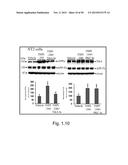 COMPOUNDS AND METHODS OF TREATING NEUROLOGICAL DISORDERS diagram and image