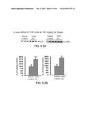 COMPOUNDS AND METHODS OF TREATING NEUROLOGICAL DISORDERS diagram and image