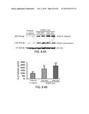 COMPOUNDS AND METHODS OF TREATING NEUROLOGICAL DISORDERS diagram and image