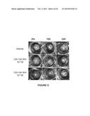 Peptide Compounds and Methods of Production and Use Thereof diagram and image