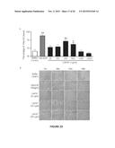 Peptide Compounds and Methods of Production and Use Thereof diagram and image