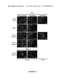 Peptide Compounds and Methods of Production and Use Thereof diagram and image