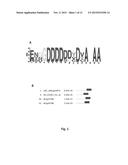 TRANSGENIC PLANTS WITH INCREASED TRACE ELEMENT CONTENTS AND METHODS FOR     PRODUCING THE SAME diagram and image