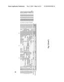 TRANSGENIC PLANTS WITH INCREASED TRACE ELEMENT CONTENTS AND METHODS FOR     PRODUCING THE SAME diagram and image