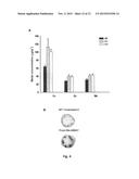 TRANSGENIC PLANTS WITH INCREASED TRACE ELEMENT CONTENTS AND METHODS FOR     PRODUCING THE SAME diagram and image