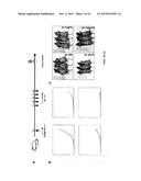 IMMUNE MODULATOR FOR IMMUNOTHERAPY AND VACCINE FORMULATION diagram and image