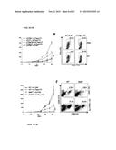 IMMUNE MODULATOR FOR IMMUNOTHERAPY AND VACCINE FORMULATION diagram and image