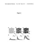 GENETICALLY ENCODED CALCIUM INDICATORS AND METHODS OF USE diagram and image