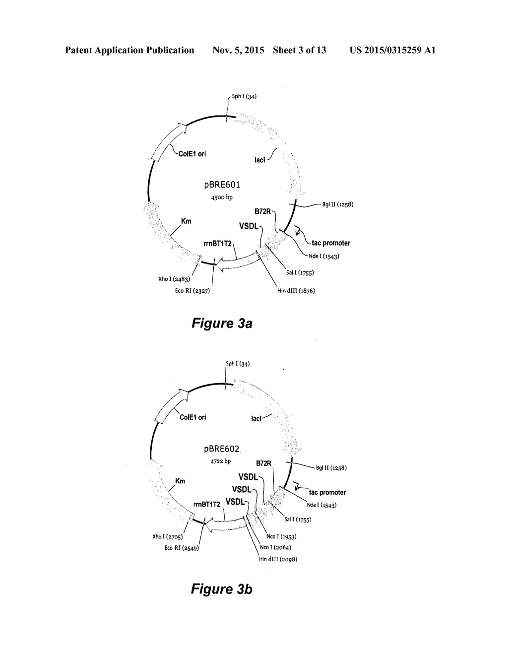 METHOD OF PRODUCING A RECOMBINANT PEPTIDE - diagram, schematic, and image 04
