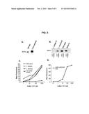 HUMAN ANTIBODIES AGAINST RABIES AND USES THEREOF diagram and image