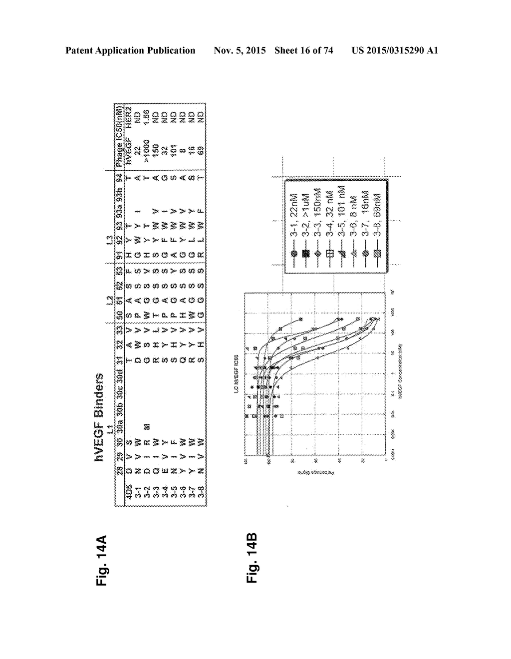 MULTISPECIFIC ANTIBODIES - diagram, schematic, and image 17