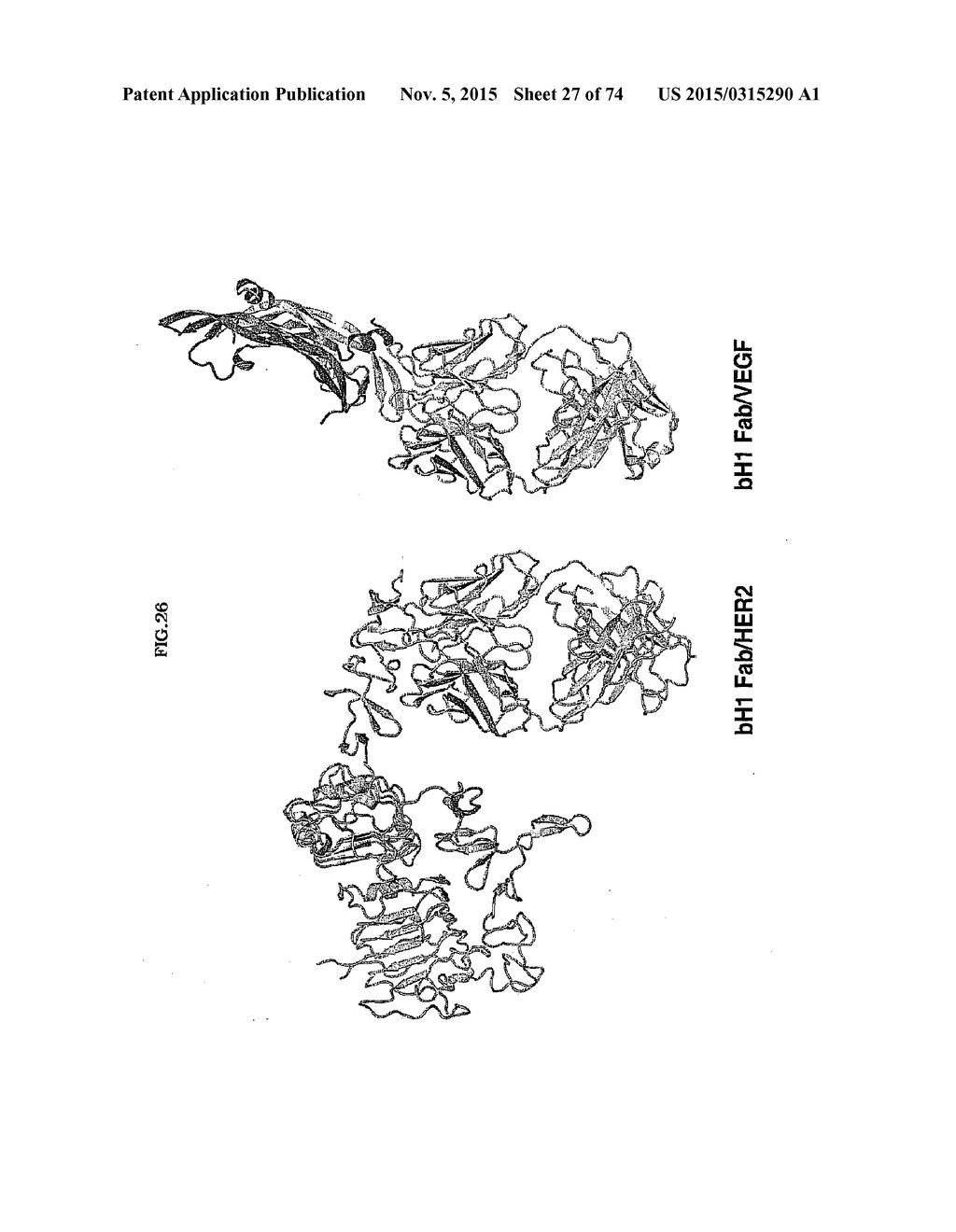 MULTISPECIFIC ANTIBODIES - diagram, schematic, and image 28