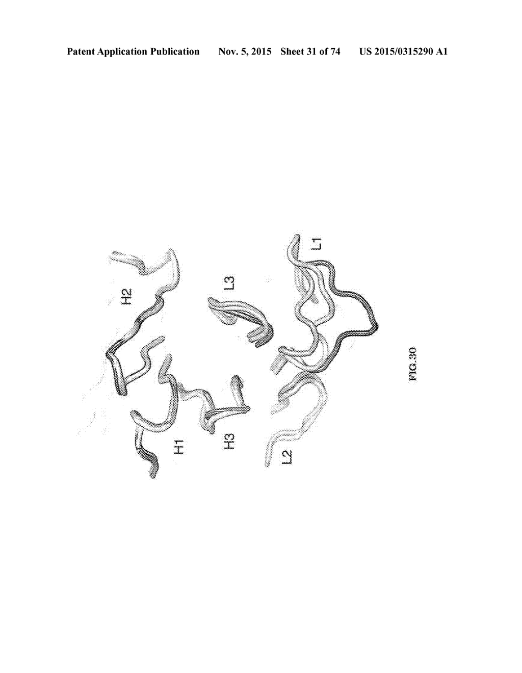 MULTISPECIFIC ANTIBODIES - diagram, schematic, and image 32