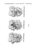 MULTISPECIFIC ANTIBODIES diagram and image