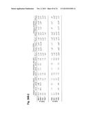 MULTISPECIFIC ANTIBODIES diagram and image