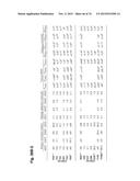 MULTISPECIFIC ANTIBODIES diagram and image