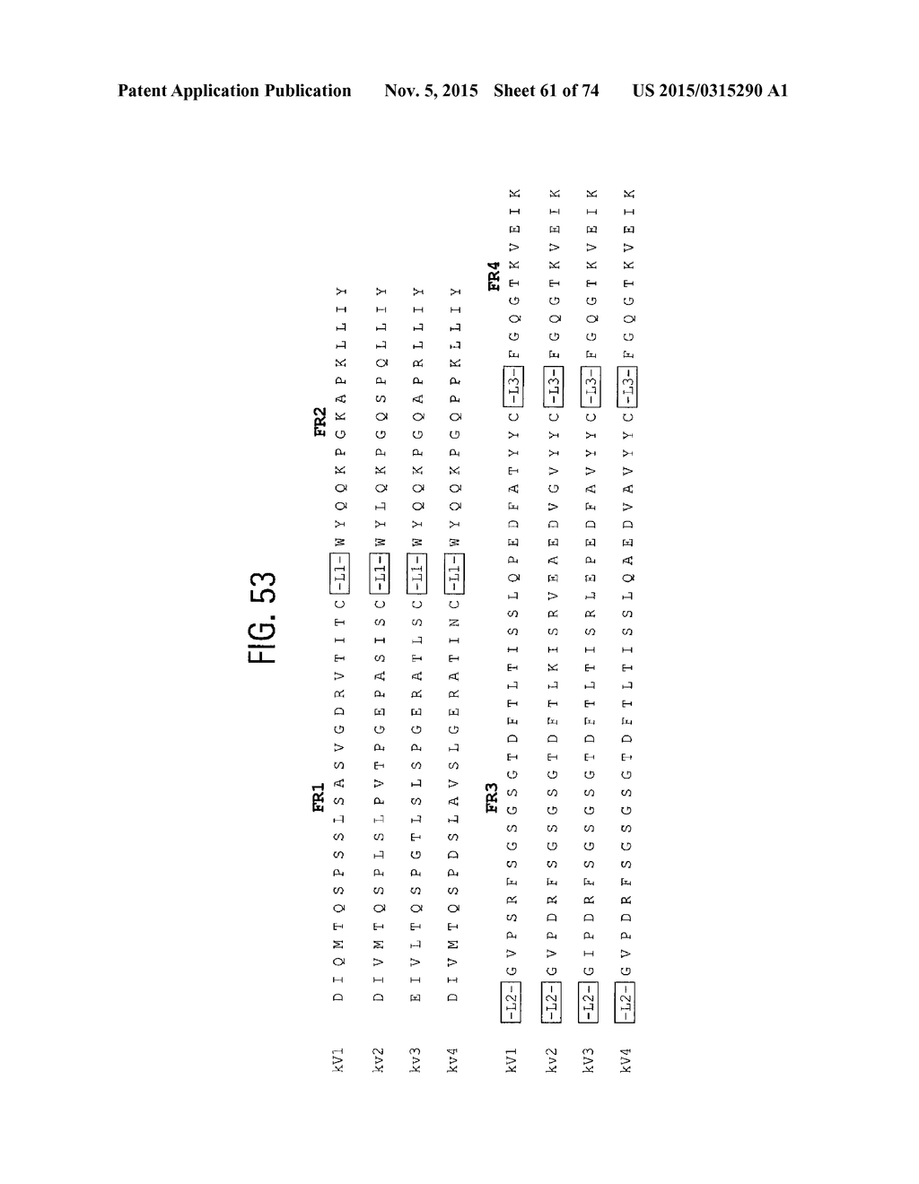 MULTISPECIFIC ANTIBODIES - diagram, schematic, and image 62